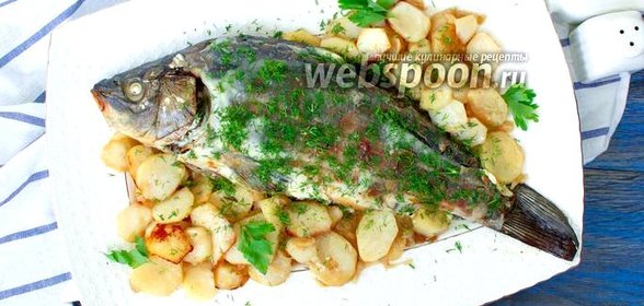Карп запечённый с луком, картофелем и сметаной