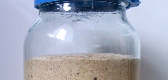 Закваска из ржаной муки