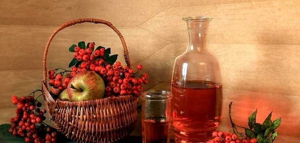 Вино из красной рябины