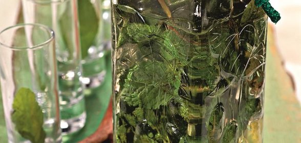 Мятная настойка