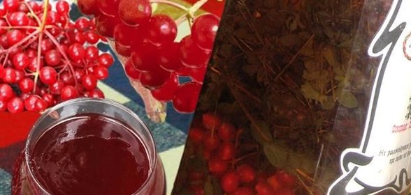 Настойка калина на спирту