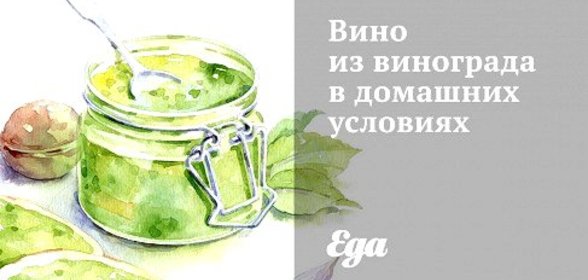 Вино из винограда в домашних условиях