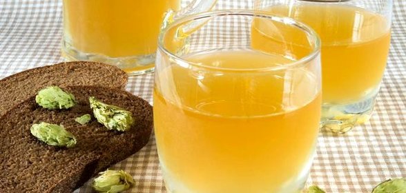 Домашний хлебный квас с шишками хмеля