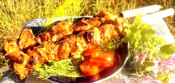 Шашлык из куриного филе