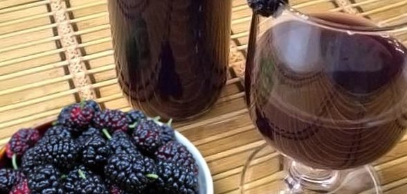 Домашнее вино из шелковицы