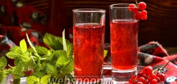 Настойка на красной смородине