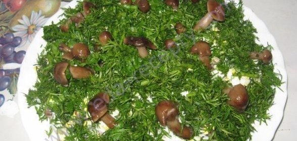 Салат Лесная Поляна с куриным филе и грецкими орехами