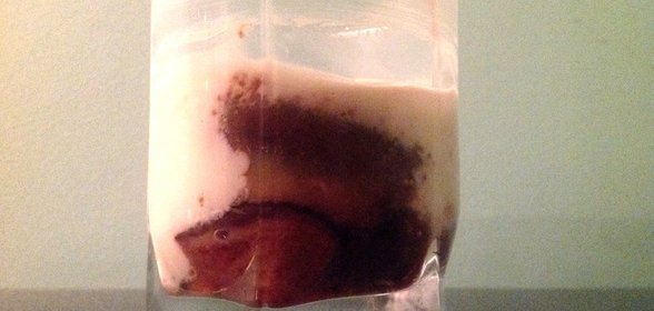 Десерт с инжиром и маскарпоне