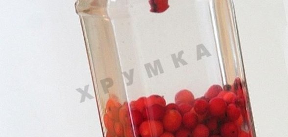 Водка на рябине