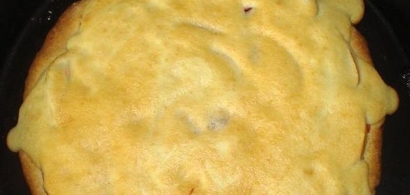 Вкусный яблочной пирог с бисквитным покрытием