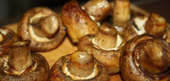 Шашлык из шампиньонов