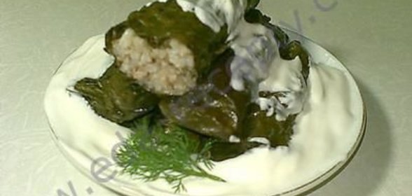 Голубцы в виноградных листьях