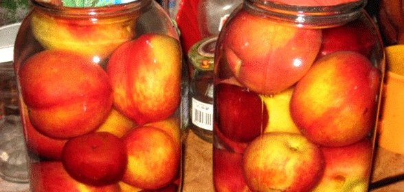 Компот из нектаринов