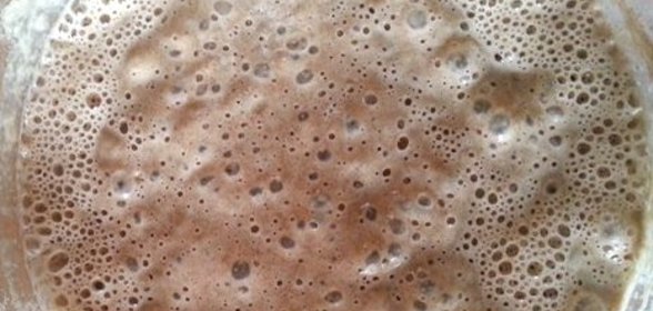 Натуральная ржаная закваска