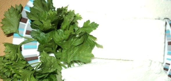 Сыр из козьего молока в домашних условиях