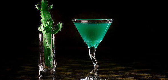 Кактус Джек