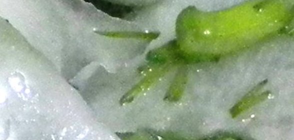 Салат из дайкона с зеленью