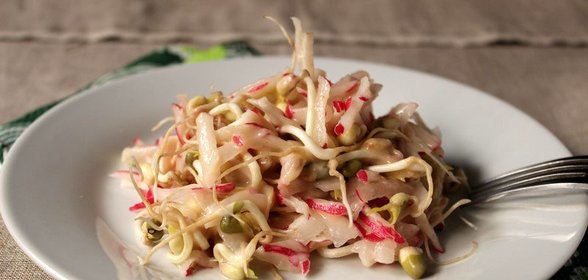 Салат из ростков мунг