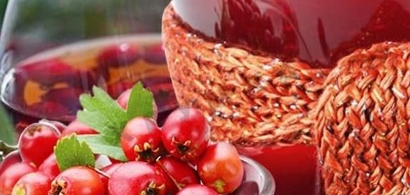 Домашнее вино из ирги