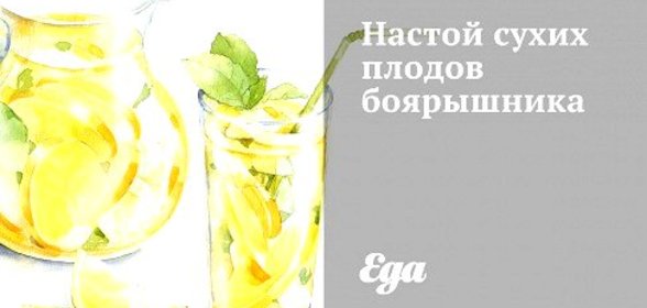Настой сухих плодов боярышника