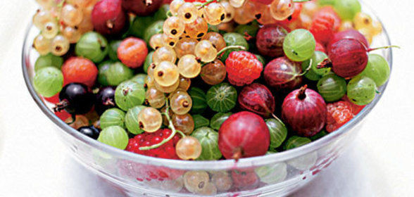 Морс ягодный (клюква, брусника, красная смородина, клубника, земляника, черника, малина)