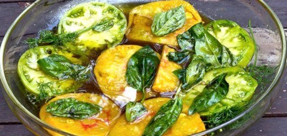 Маринованные зеленые помидоры