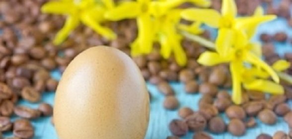 Крашеные яйца кофе (коричневые)