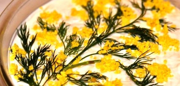 Салат Мимоза с сыром