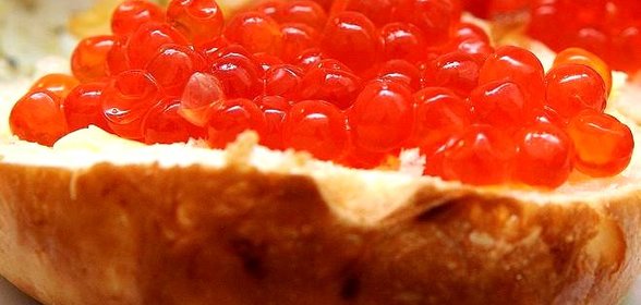 Бутерброды с икрой