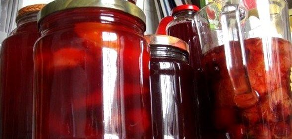 Питье из ягод (по рецепту Елены Молоховец)