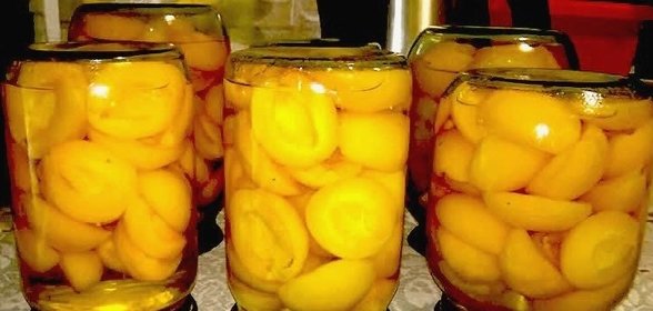 Компот из абрикосов