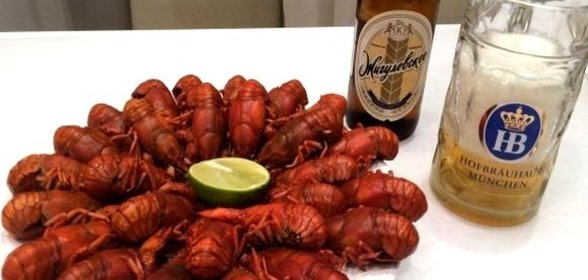 Раки под пиво