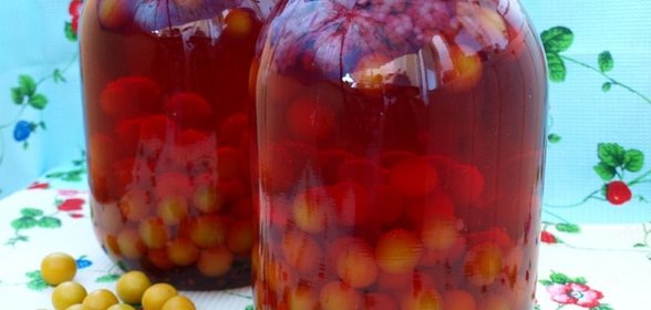 Компот с алычой и малиной