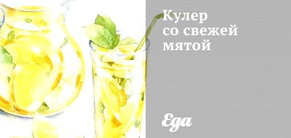 Кулер со свежей мятой