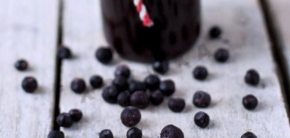 Домашнее вино из голубики