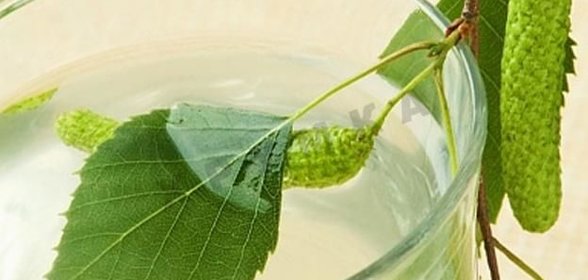 Домашний березовый квас с изюмом