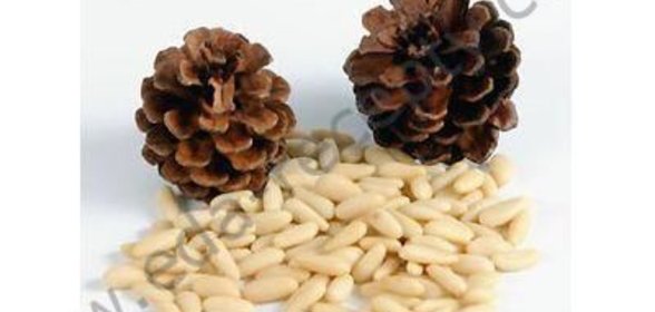 Кедровая настойка на орехах