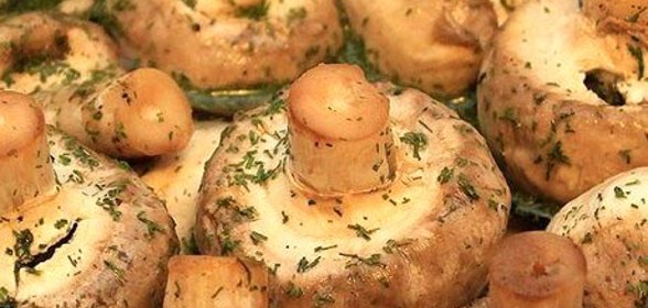 Шашлычки из шампиньонов