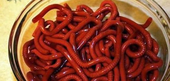 Мармеладные червячки