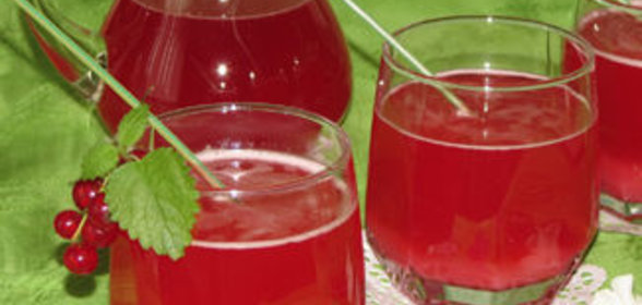 Квас из красной смородины