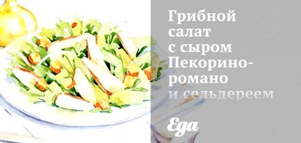 Грибной салат с сыром Пекорино-романо и сельдереем