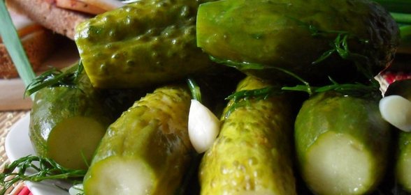 Малосольные огурцы
