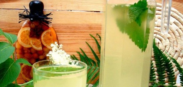 Квас из бузины