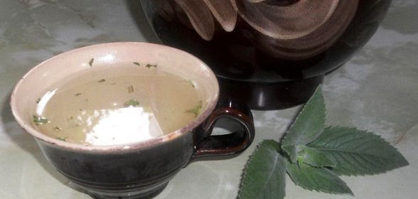 Освежающий напиток из эстрагона и лимона