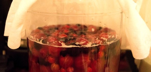 Закваска натуральная для любой выпечки (без покупных дрожжей)