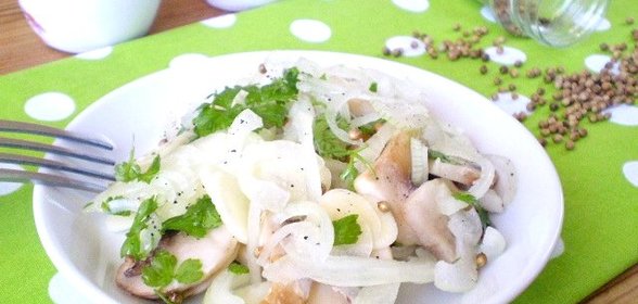 Сыроедческие грибы