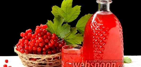 Настойка из калины сладкая
