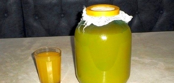 Квас из чистотела
