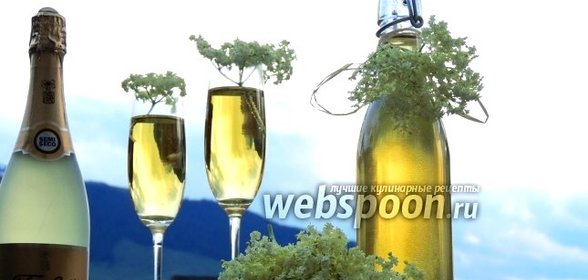 Сироп из соцветий бузины чёрной