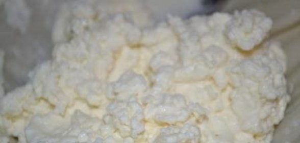 Домашний творог